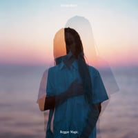 ⭐︎美品⭐︎ PON DE WAVE / DUNNS (どんずりばー) PON DE WAVE