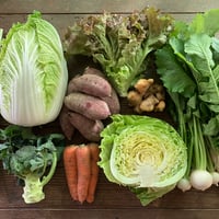 お野菜セットＭ（送料込）_単発便（クール便利用）