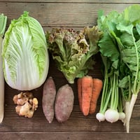 お野菜セットＳ（送料込）定期便_隔週（クール便利用）