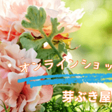 芽ぶき屋　船橋店