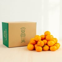 【予約】やーらしかみかん(小粒、ご家庭用、手詰め）／約1.2kg