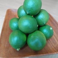 オーガニックマイヤーレモン　約１．２kg