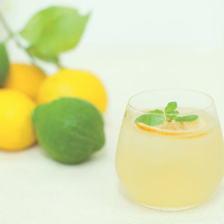 本格LEMON SYRUP ≪レモンピール＆国産はちみつ入り≫（6個/3個×2袋）