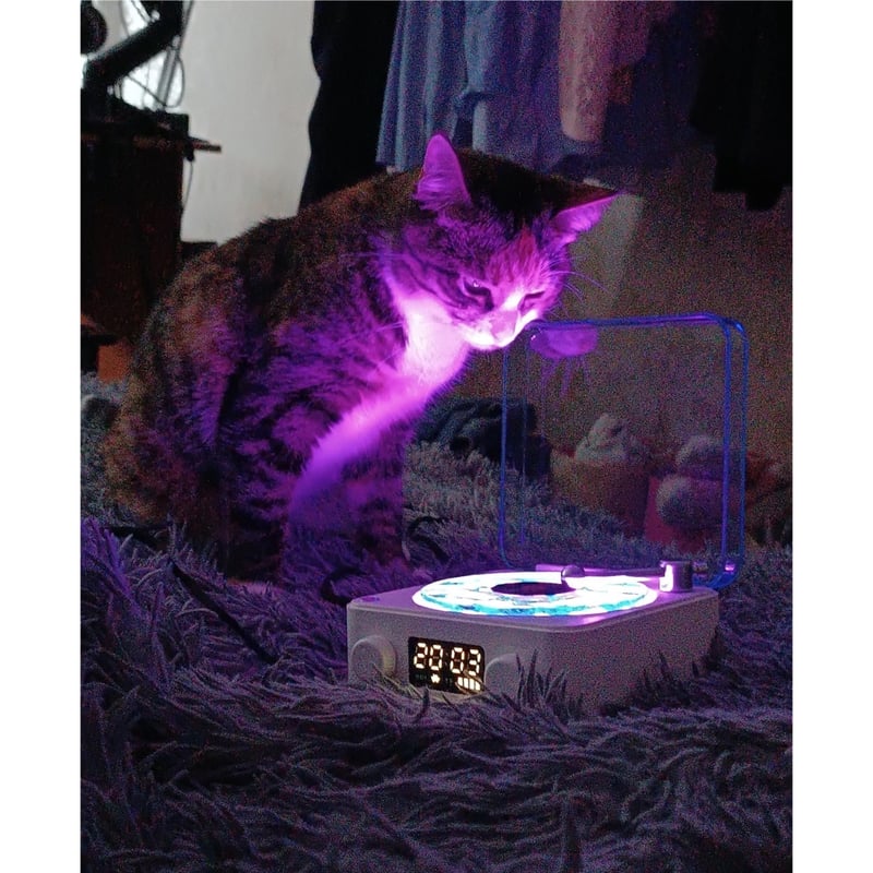 紫 レア サンプル レコード ⭐️激レア❗️1910フルーツガム