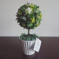 森のトピアリー（Hearty Bouquet）