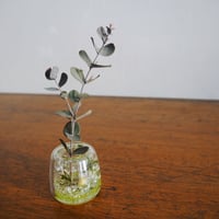 歯ブラシスタンド（Atelier morino）