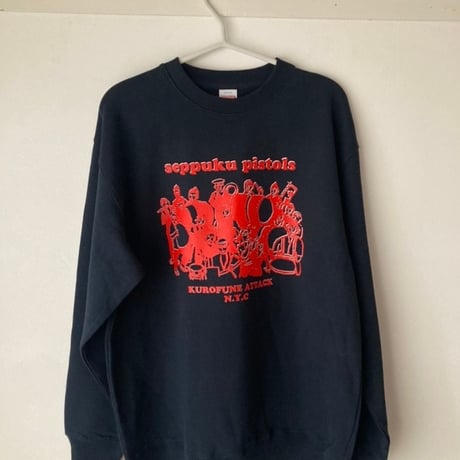 【SOLDOUT】【体型良好】人工餌爆食☆ダトニオプラスワン☆腹巻バンド☆黒墨バンド☆20㎝±【スマトラ産】 SOLDOUT】【体型良好】人工餌爆食☆ダトニオプラスワン☆腹巻バンド