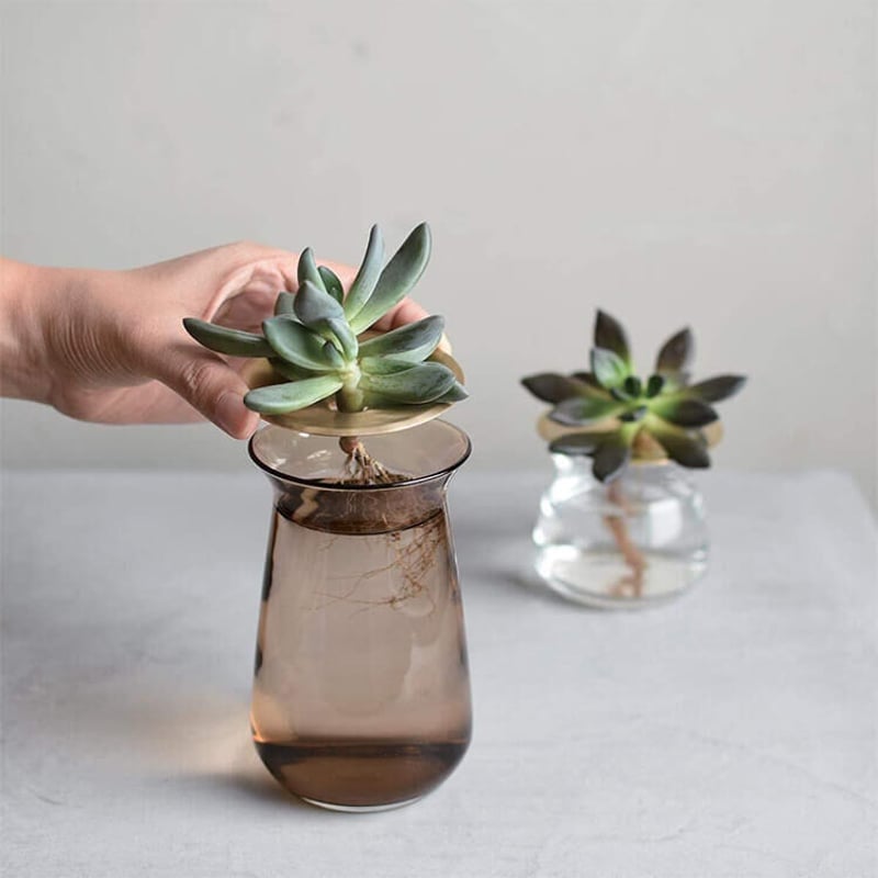 新品未使用　ユキエモン　ぺたぺたコラージュガラス　お皿　fortune2枚セット 新品未使用 ユキエモン ぺたぺたコラージュガラス お皿 fortune2