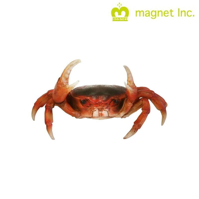 magppie crab  servers カニスプーン 6本セット magppie crab servers カニスプーン 6本セット