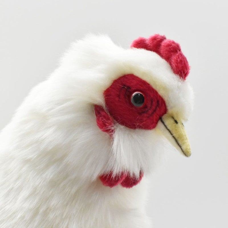 HANSA ハンサ シロメンドリ 4172 リアル ぬいぐるみ | YokaNoOtomo