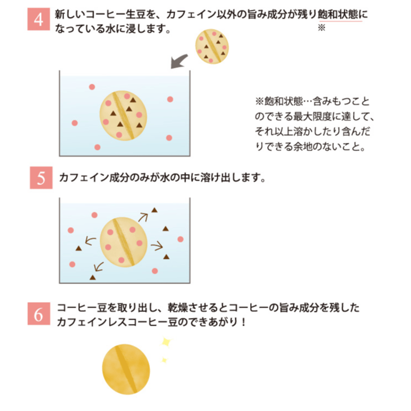 カフェインレス】 コーヒー生豆 メキシコSHGチアパス5kg メキシコ