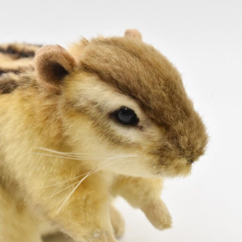 HANSA ハンサ 7843 シマリス 25 CHIPMUNK リアル ぬいぐるみ HANSA ハンサ 7843 シマリス 25 CHIPMUNK リアル ぬいぐるみ