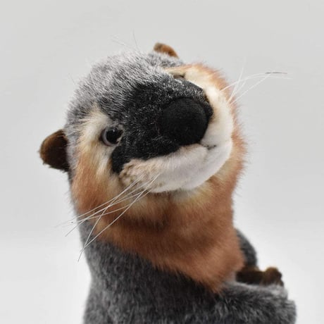 HANSA ハンサ カワウソ 3814 リアル ぬいぐるみ 動物 愛らしい プレゼント アニマル