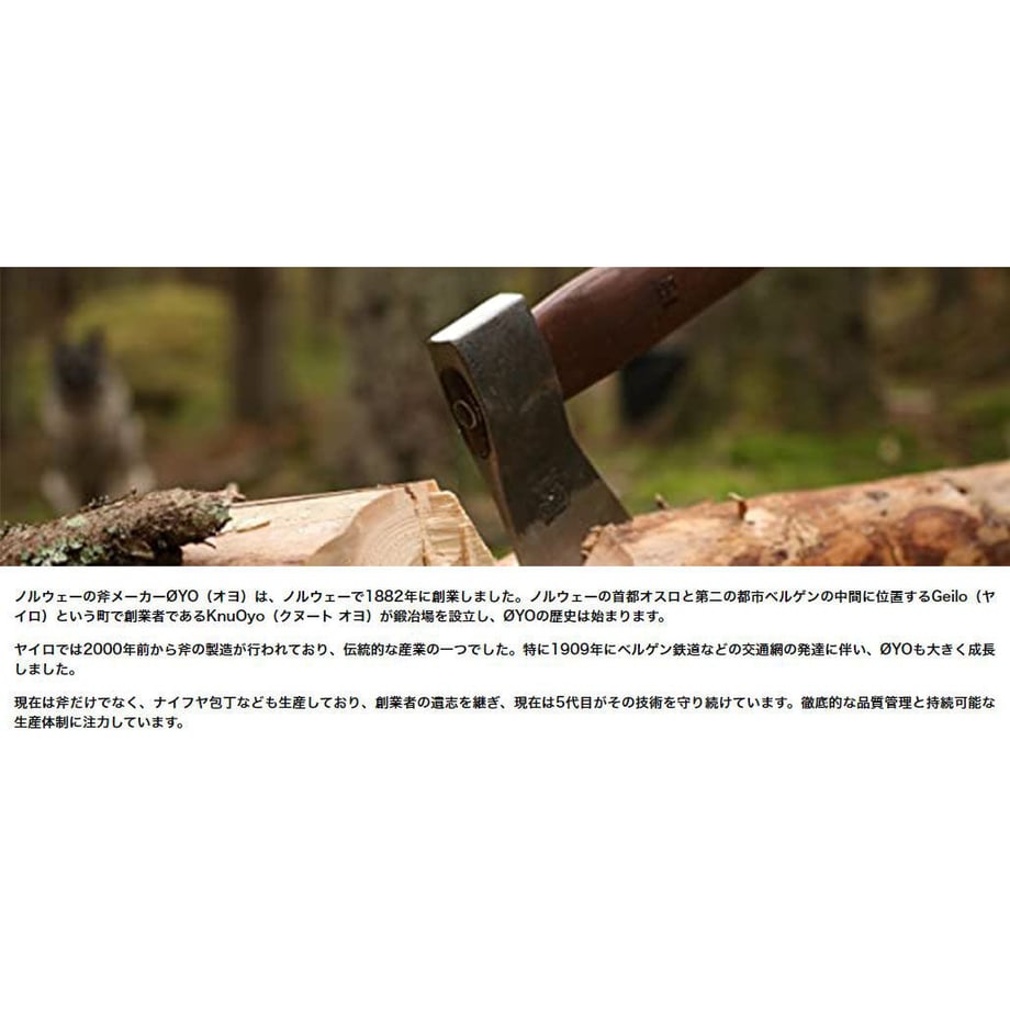 607998b723055721e70eb345