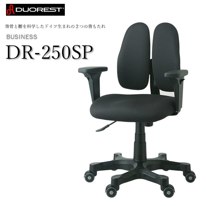DUOREST(デュオレスト) デスクチェア 人間工学腰痛対策椅子