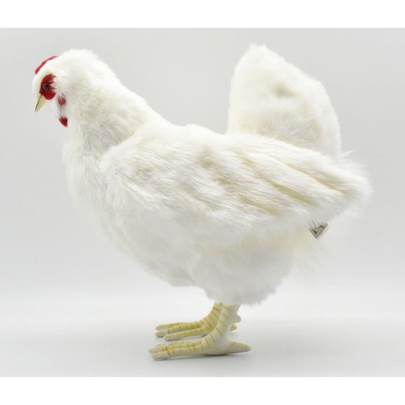 HANSA ハンサ シロメンドリ 4172 リアル ぬいぐるみ | YokaNoOtomo