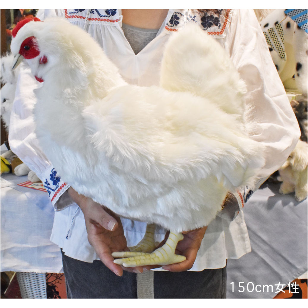 fit=scale-down,w=1200