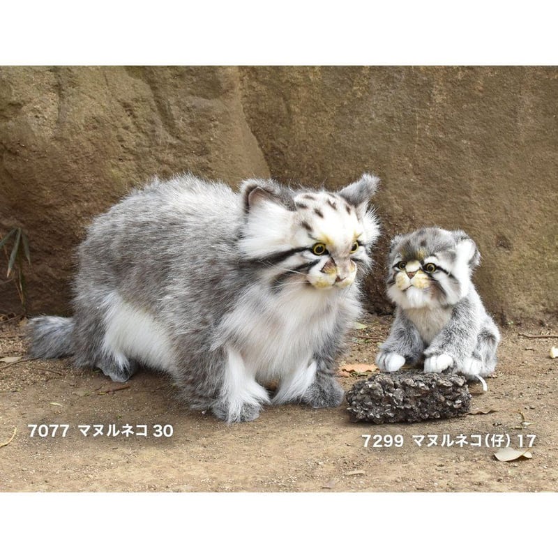 HANSA ハンサ マヌルネコ(仔) 7299 リアル ぬいぐるみ | YokaNoOtomo