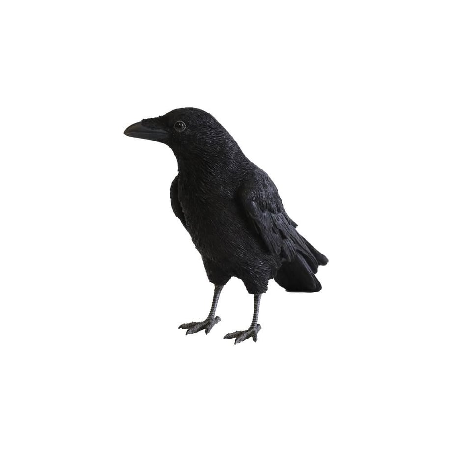 608bfd24f3c5e75b6c401071