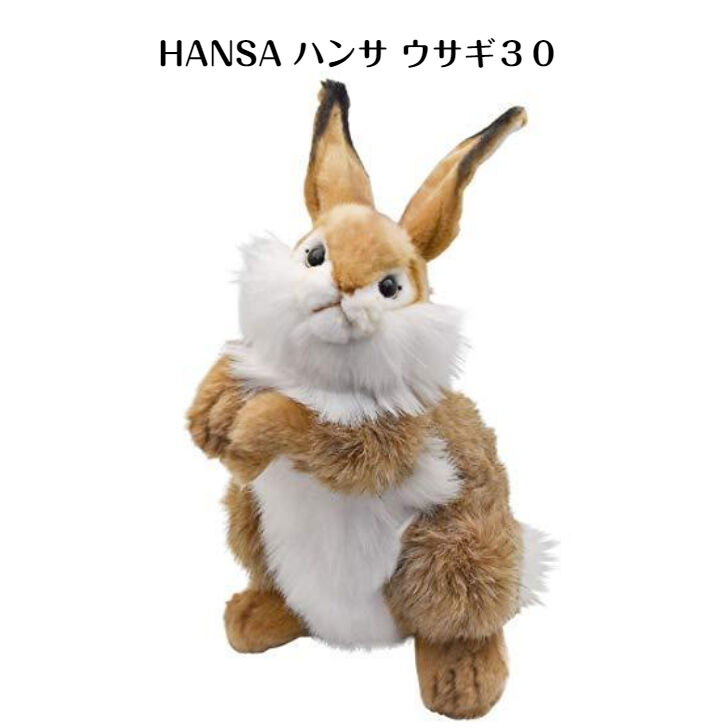 ウサギ 2625984113-040_MAIN.jpg?v=