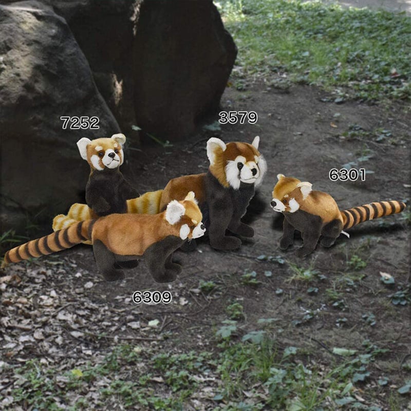 HANSA レッサーパンダ 6309 リアル ぬいぐるみ 動物 愛らしい