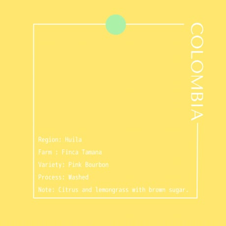 COLOMBIA Finca Tamana Pink Bourbon Washed / 250g