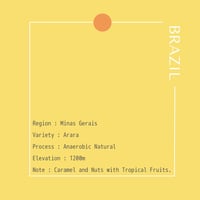 BRAZIL Santa Terezinha Anaerobic Natural / 250g