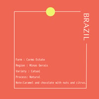 BRAZIL Carmo Estate Natural /250g