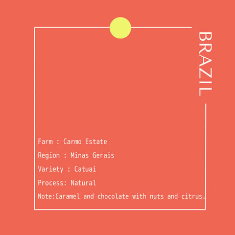 BRAZIL Carmo Estate Natural /250g