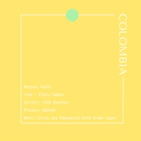 COLOMBIA Finca Tamana Pink Bourbon Washed / 100g