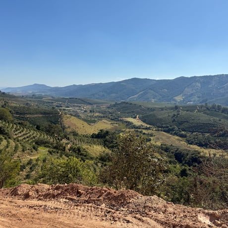 BRAZIL Carmo Estate Natural /250g