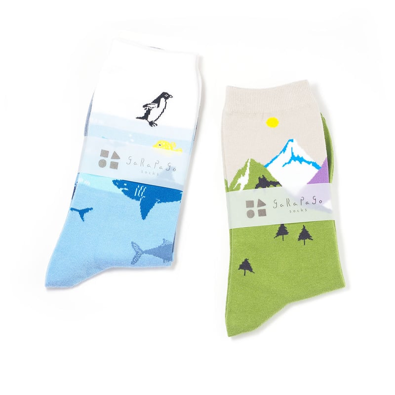 garapago socks/風景 | くつとくつしたアナグマ屋