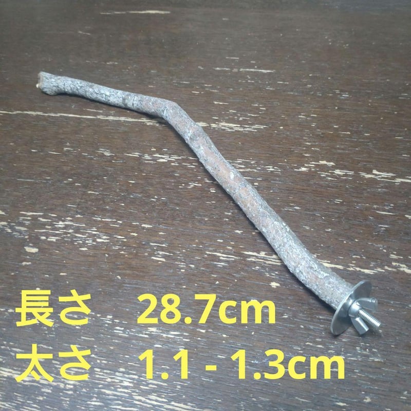止まり木（枝：TOY-08-015）T539 | ちゃぶ工房