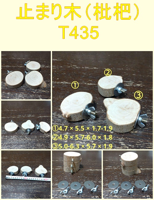 丸太切り株の止まり木（枇杷）セット（TOY-08-045) T435 | ちゃぶ工房