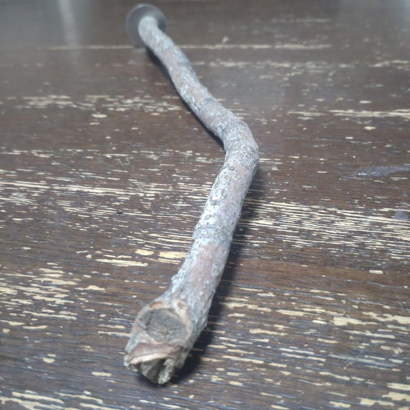 止まり木（枝：TOY-08-015）T539 | ちゃぶ工房