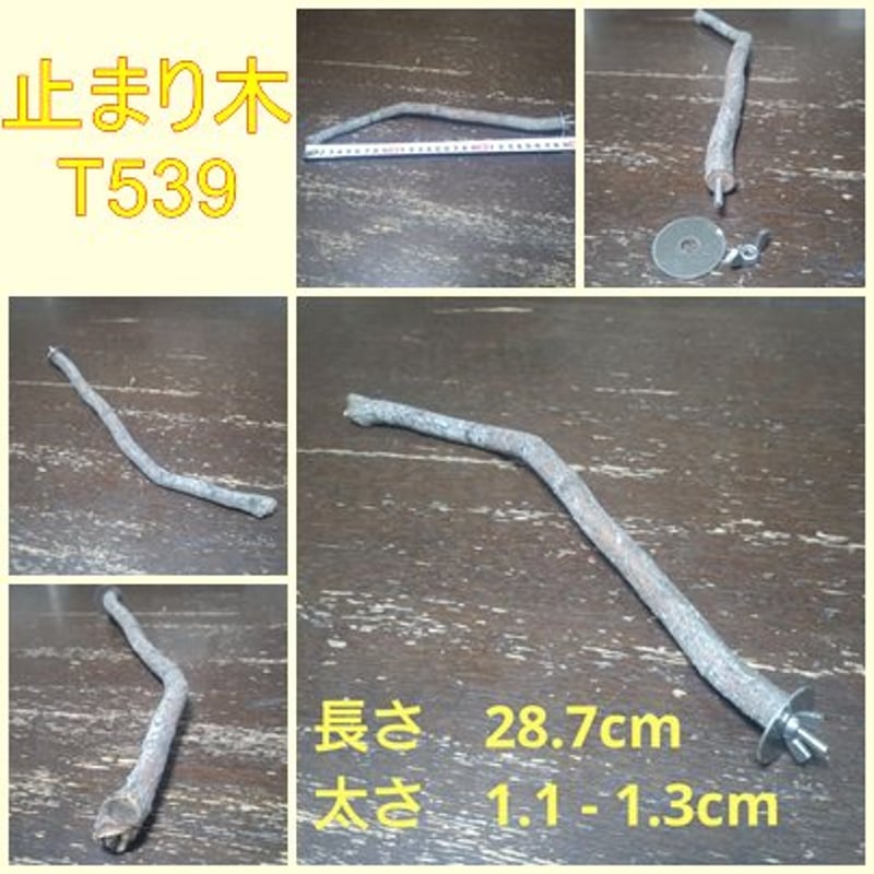 止まり木 s08m09 止まり木（枝：TOY-08-015）T539 | ちゃぶ工房