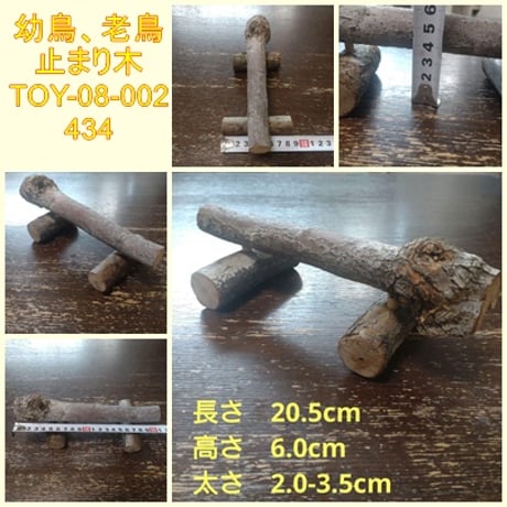 老鳥 | STORES