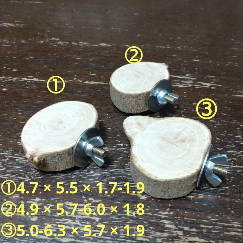 丸太切り株の止まり木（枇杷）セット（TOY-08-045) T435 | ちゃぶ工房