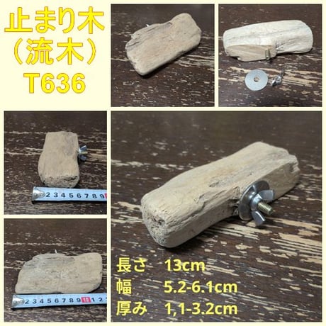 止まり木 | STORES