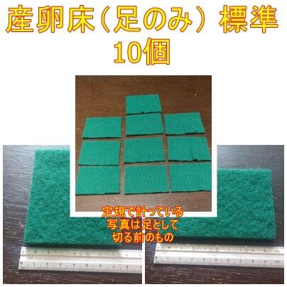 メダカ産卵床250個【研磨剤未使用】 メダカ産卵床60個【研磨剤未使用】 - メルカリ