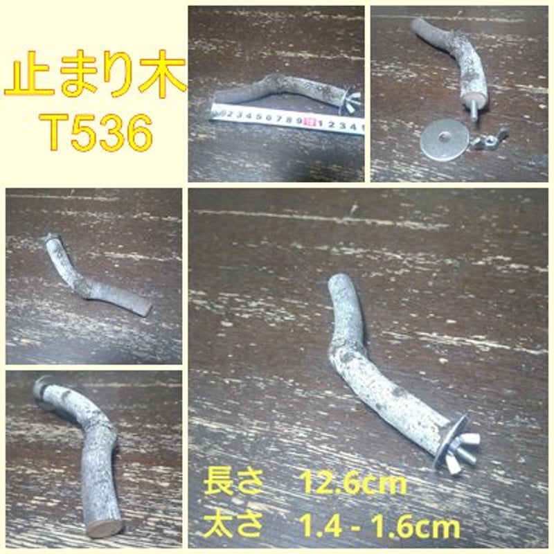 止まり木 s08m09 止まり木（枝：TOY-08-015）T539 | ちゃぶ工房