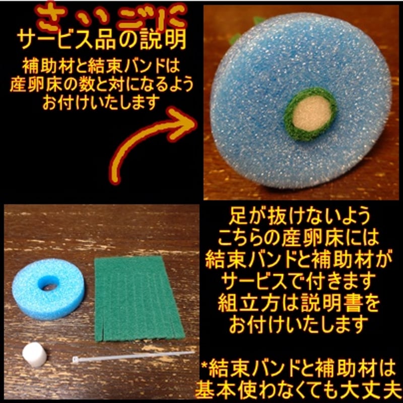 メダカ 産卵床（標準、足長） ※研磨剤不使用 | ちゃぶ工房