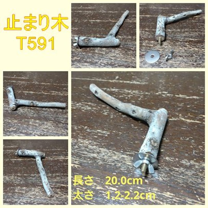 止まり木（枝：TOY-08-015）T591 | ちゃぶ工房