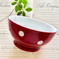 LongchampボウルRD大/A