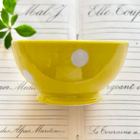 LongchampボウルYE