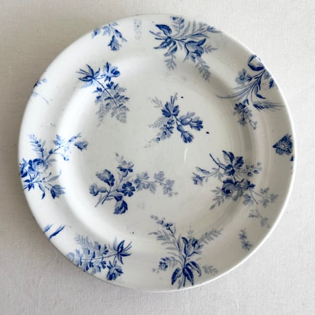 マーストリヒト | STORES