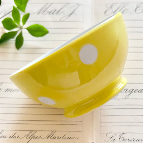 LongchampボウルYE