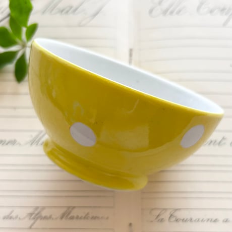 LongchampボウルYE