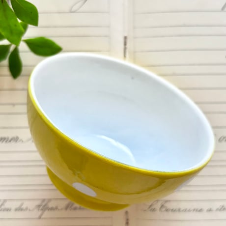 LongchampボウルYE