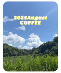2025年8月の珈琲